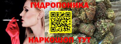 a pvp Волгодонск