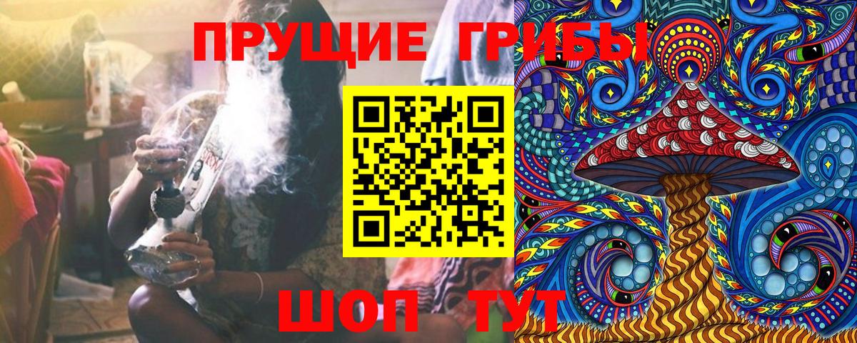 Галлюциногенные грибы Psilocybe  Вход с VPN  Ачинск 