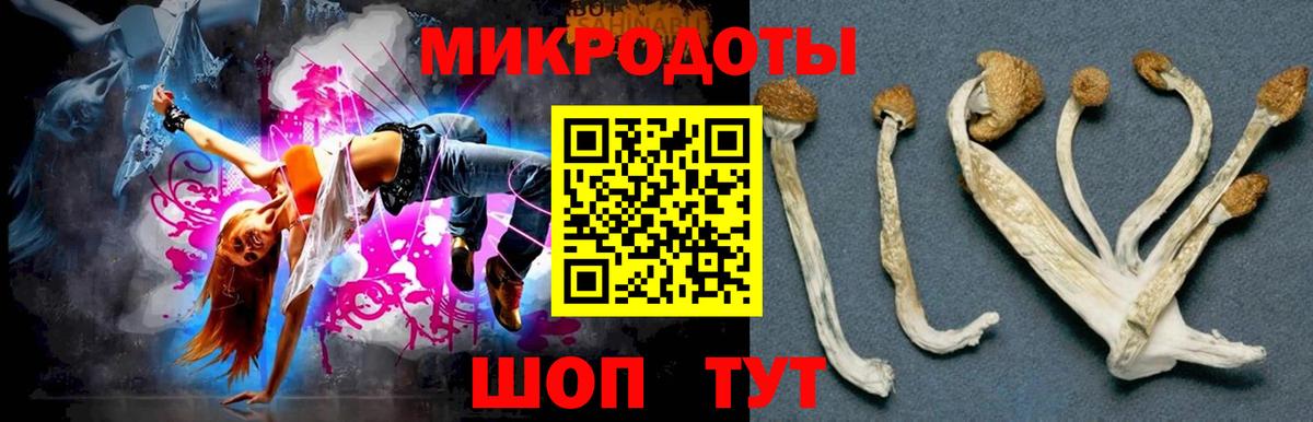Псилоцибиновые грибы ЛСД Ачинск